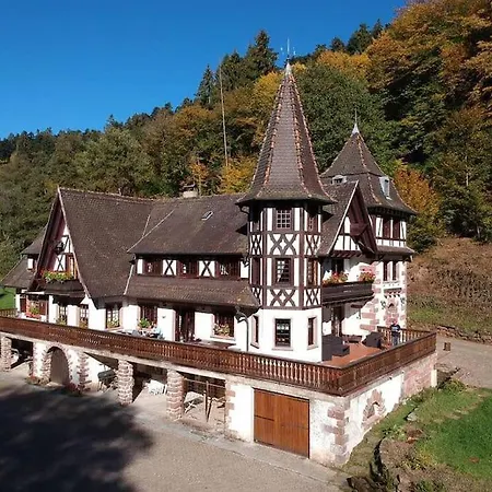 Le Saint Moulin De La Petite Pierre Holiday home *