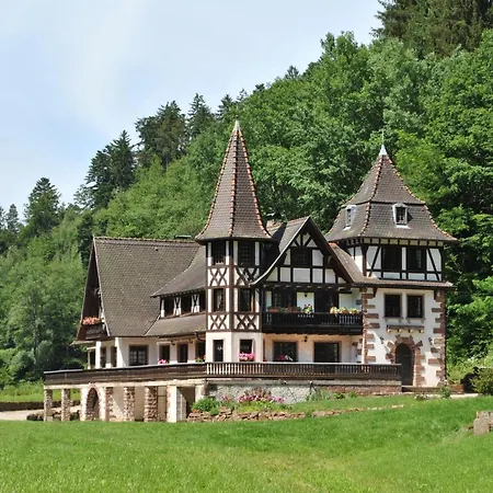 Le Saint Moulin De La Petite Pierre Holiday home Lohr