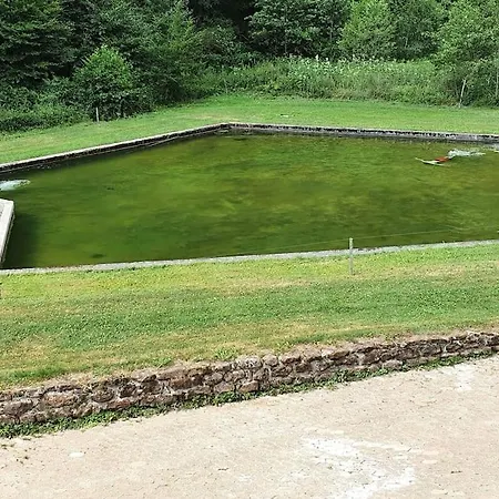 Le Saint Moulin De La Petite Pierre Dom wakacyjny