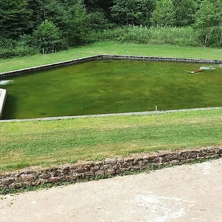 Le Saint Moulin De La Petite Pierre Holiday home