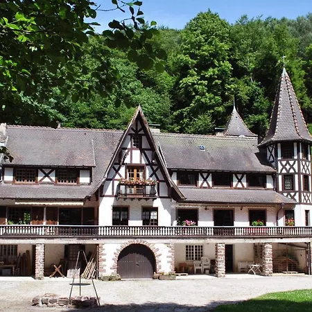 Le Saint Moulin De La Petite Pierre Holiday home Lohr