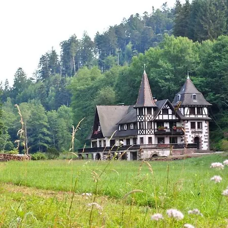 Holiday home Le Saint Moulin De La Petite Pierre
