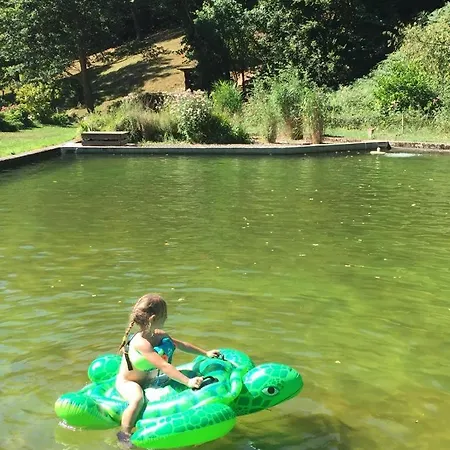 Le Saint Moulin De La Petite Pierre Dom wakacyjny Lohr