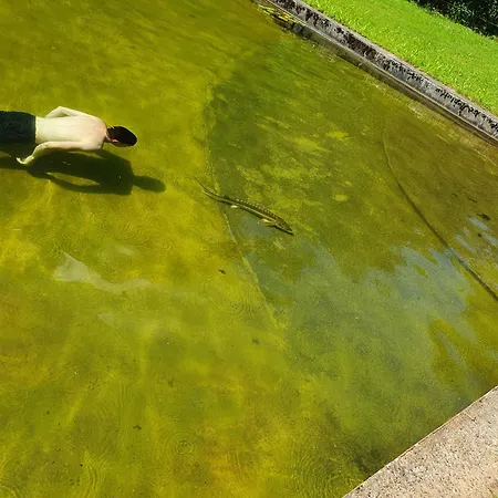 Le Saint Moulin De La Petite Pierre Dom wakacyjny *