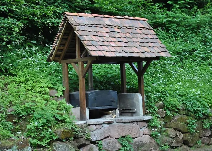 Le Saint Moulin De La Petite Pierre Vakantiehuis
