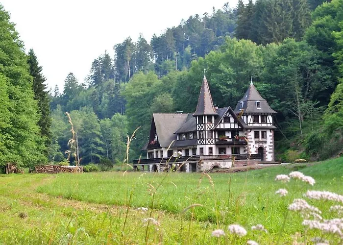 Vakantiehuis Le Saint Moulin De La Petite Pierre