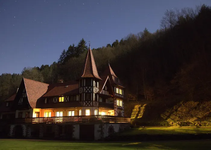 Vakantiehuis Le Saint Moulin De La Petite Pierre Lohr