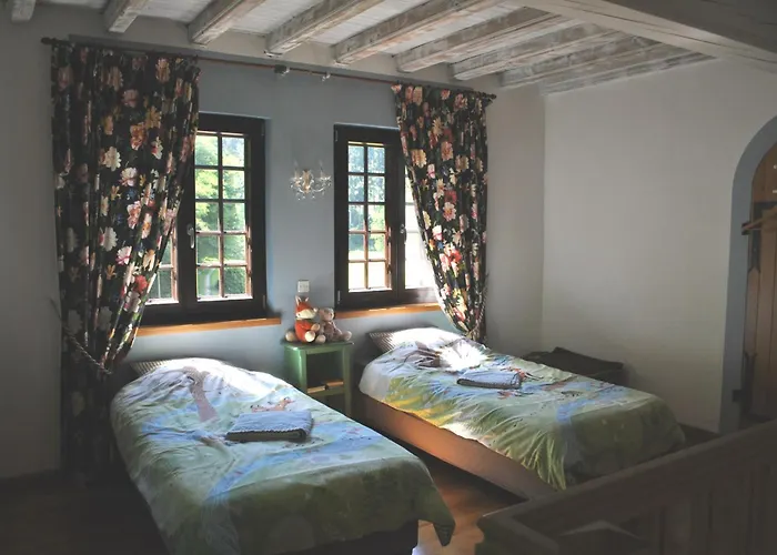 Vakantiehuis Le Saint Moulin De La Petite Pierre Lohr