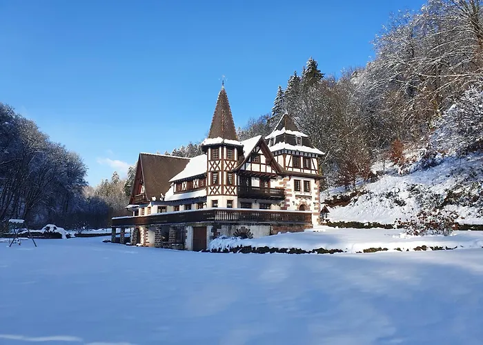 Vakantiehuis Le Saint Moulin De La Petite Pierre *