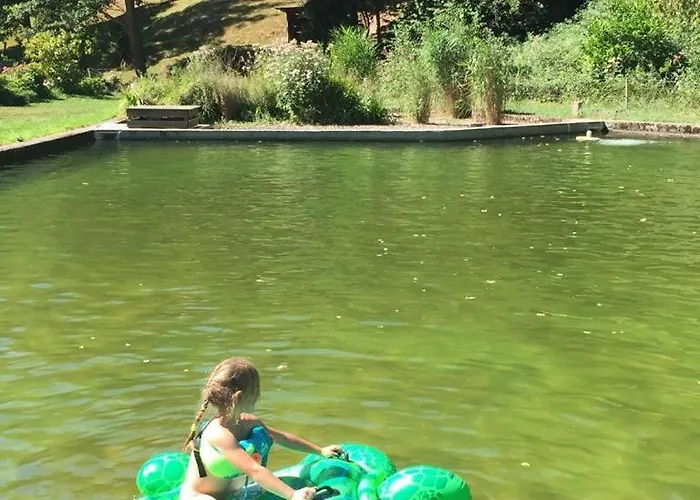 Le Saint Moulin De La Petite Pierre Vakantiehuis Lohr