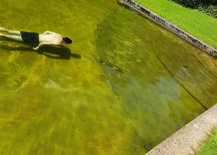 Le Saint Moulin De La Petite Pierre Vakantiehuis *